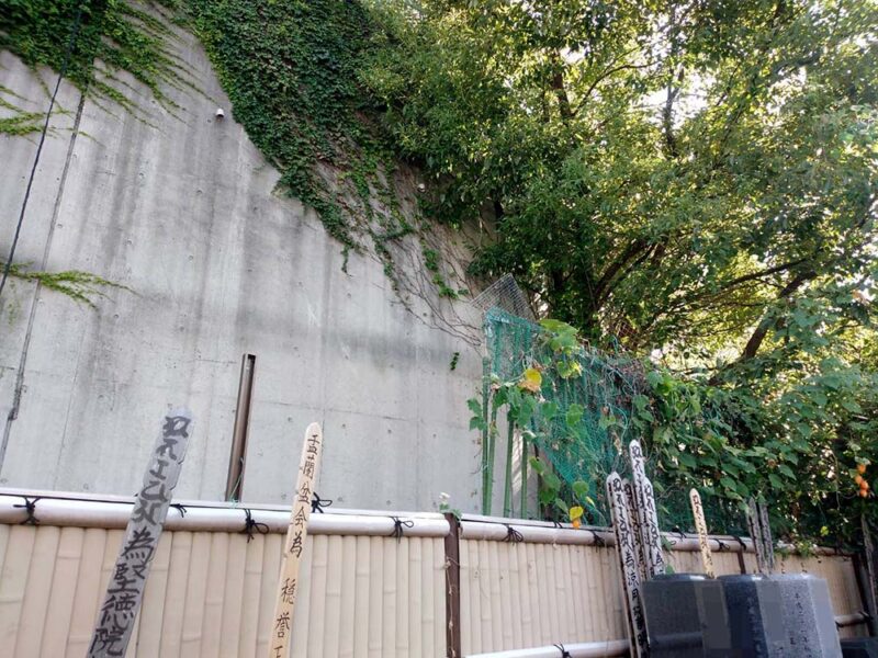 港区・木造小屋の解体After