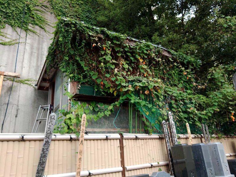 港区・木造小屋の解体Before